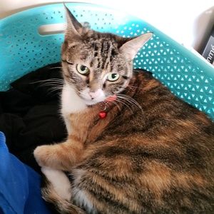 Meet your Posher, Carin